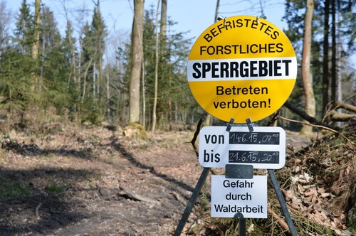 Waldweg mit Schild Befristetes Forstliches Sperrgebiet Betreten Verboten