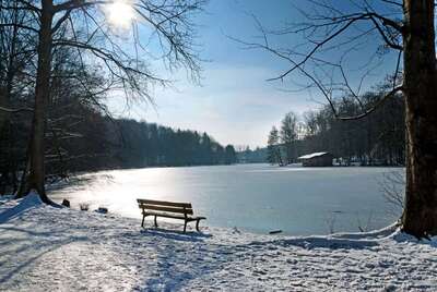 winterlicher zugefrorener See