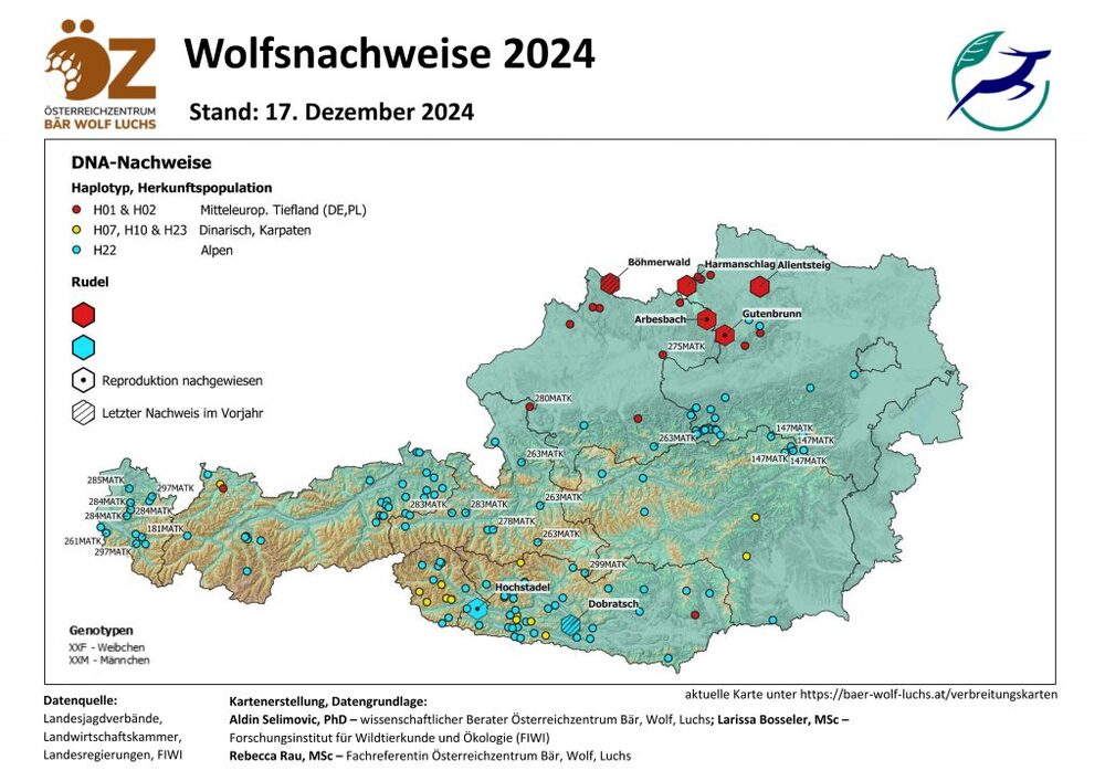 Wolfsnachweise 17.12.2024