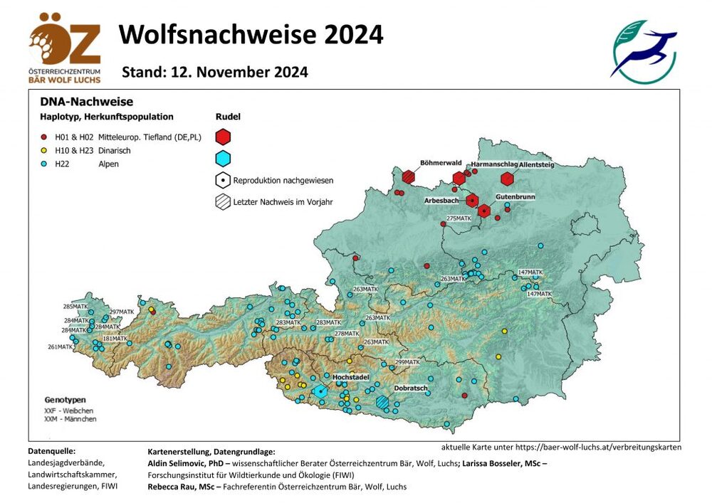 Wolfsnachweise Stand 12.11.2024