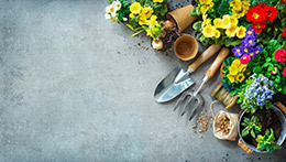 Gartengeräte und Frühlingsblumen auf einer Terrasse