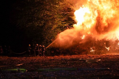 Feuerwehrleute versuchen in der Dunkelheit einen Waldbrand zu löschen