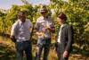 Zwischen den Reben erklärt Winzer Florian Eschlböck dem Geschäftsführer OÖ Weinbauverbands Klaus Stumvoll und Agrar-Landesrätin Michaela Langer-Weninger den Weinanbau.