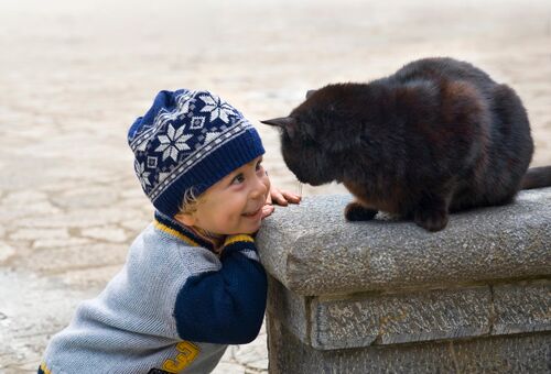 Ein kleines Kind und eine Katze auf einem Stein schauen einander in die Augen.