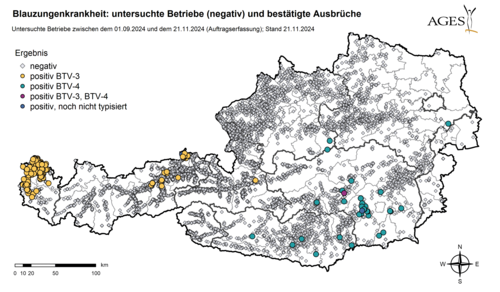 Blauzungenkrankheit: untersuchte Betriebe (negativ) und bestätigte Ausbrüche