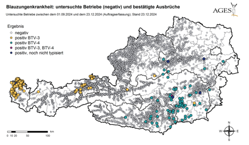 Blauzungenkrankheit: untersuchte Betriebe (negativ) und bestätigte Ausbrüche