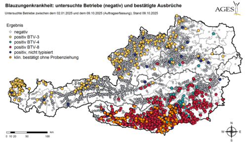 Blauzungenkrankheit: untersuchte Betriebe (negativ) und bestätigte Ausbrüche Blauzungenkrankheit: untersuchte Betriebe (negativ) und bestätigte Ausbrüche