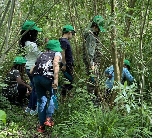 Kinder der Europaschule Linz erforschen ihre Umwelt