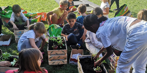 Kindergarten- und Volksschulkinder lassen beim gemeinsamen Garteln viele neue Kistengärten entstehen