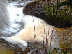 Schaumbildung in Fließgewässer