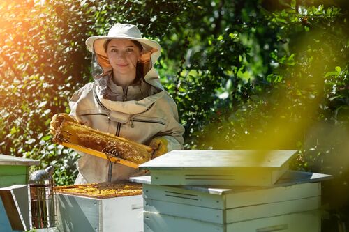 Imkerin arbeitet an Bienenstöcken